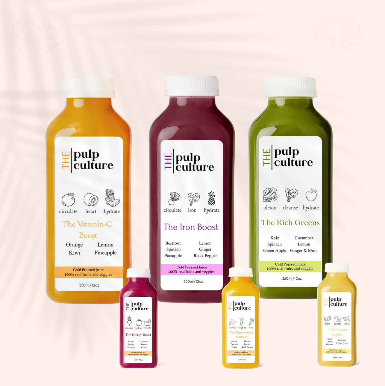 Half Day Cleanse