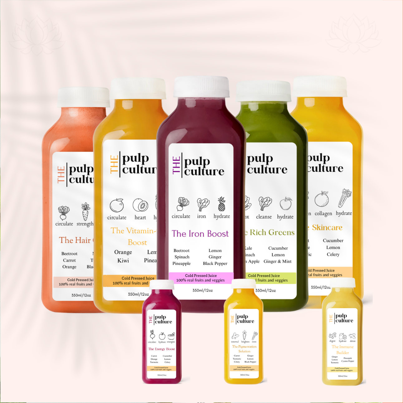 1 Day Cleanse